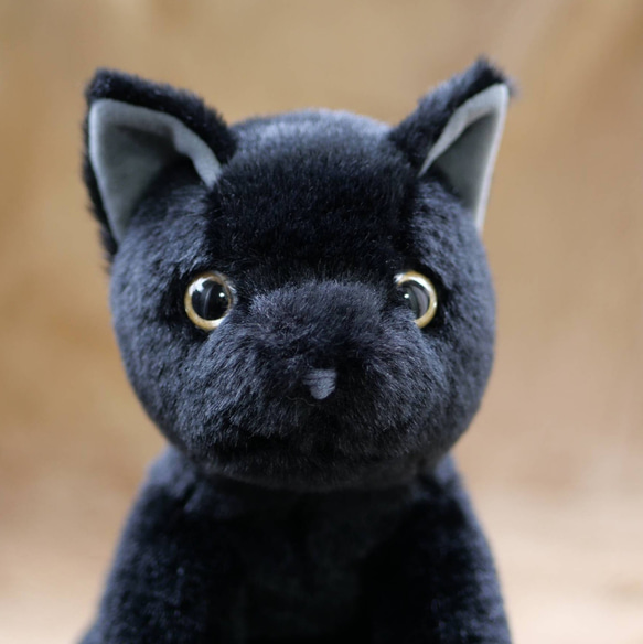 抱っこしたい黒猫(2ヶ月以内で発送)＊耳内等の色を選べます＊目の色を選べます 8枚目の画像