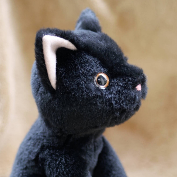 抱っこしたい黒猫(1.5ヶ月以内で発送)＊耳内等の色を選べます＊目の色を選べます 16枚目の画像