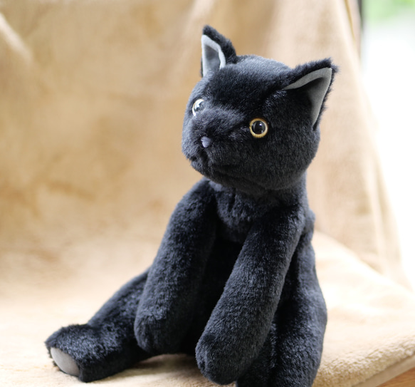 抱っこしたい黒猫(1.5ヶ月以内で発送)＊耳内等の色を選べます＊目の色を選べます 4枚目の画像