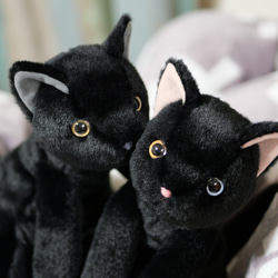 抱っこしたい黒猫(2ヶ月以内で発送)＊耳内等の色を選べます＊目の色を選べます 2枚目の画像