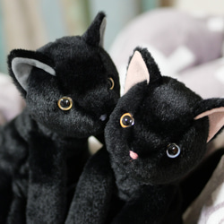 抱っこしたい黒猫(1.5ヶ月以内で発送)＊耳内等の色を選べます＊目の色を選べます 2枚目の画像