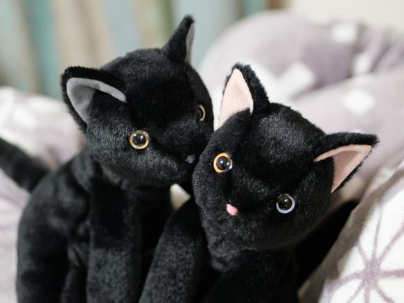 抱っこしたい黒猫(1.5ヶ月以内で発送)＊耳内等の色を選べます＊目の色を選べます 2枚目の画像