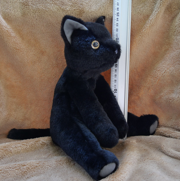抱っこしたい黒猫(1.5ヶ月以内で発送)＊耳内等の色を選べます＊目の色を選べます 11枚目の画像