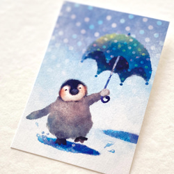 ペンギンポストカード［虹色セット］5枚入り 9枚目の画像