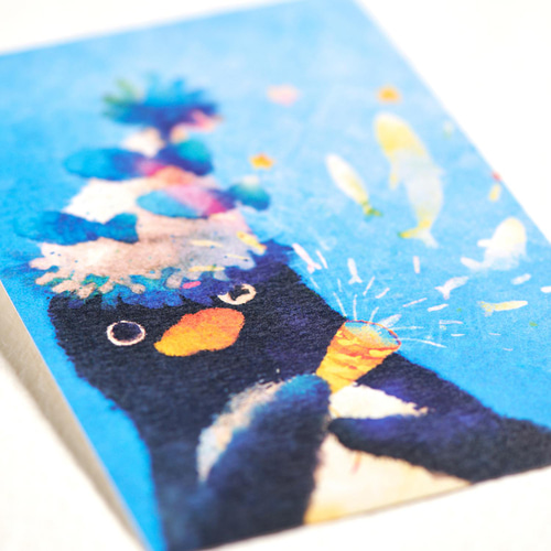 ペンギンポストカード［虹色セット］5枚入り ポストカード