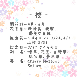 ⟪所有 8 種顏色⟫ 櫻花腰帶夾（Tsumami 作品 *定制） 第11張的照片