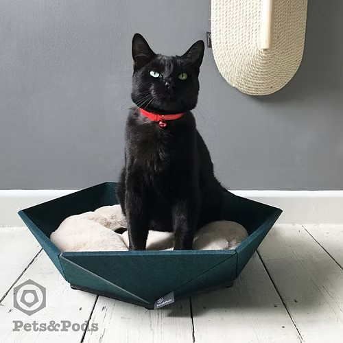 30％OFF｜Atomo（深緑）六角形のねこベッド クッションつき 小型犬にもどうぞ