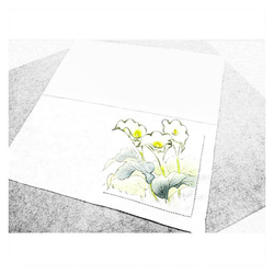 綿ハンカチ（ピコ刺繍付き）（カラー）（白色） 3枚目の画像