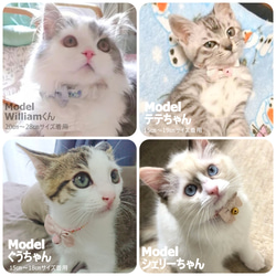 子猫ちゃん用はじめて首輪＊エレガントりぼん 5枚目の画像