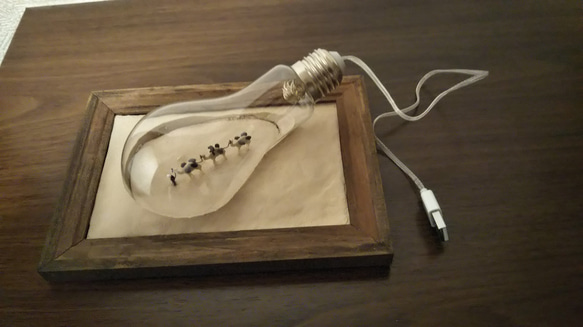 USB電源タイプ　ラクダさんの電球テラリウム(偶蹄目と霊長目の共同主観的存在構造)  口金:シルバー 2枚目の画像