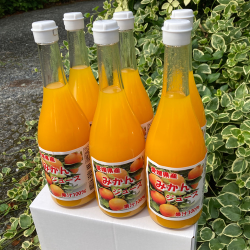 愛媛県産みかんジュース4種詰め合わせ 720ml 12本セット 愛媛