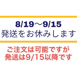 こぎん刺し図案【D01】 6枚目の画像