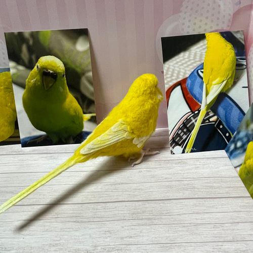 受注制作 羊毛フェルト 小鳥 オーダー 1羽（一体） ゆこりん工房 羊毛