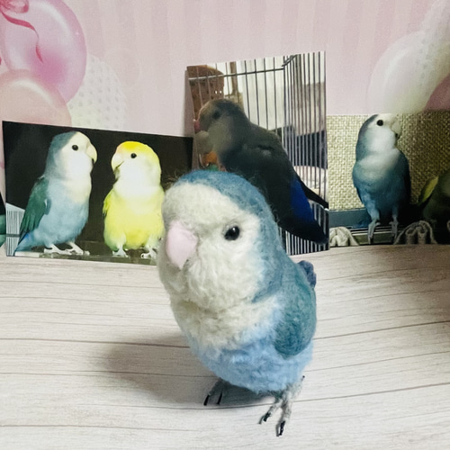リアルサイズ♪ シロハラインコ 中型インコ 羊毛フェルト ライフ