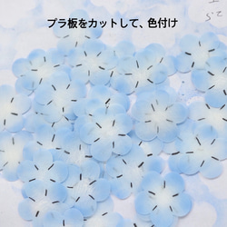 Nemophila bijou*棉質珍珠耳環/耳環 第9張的照片