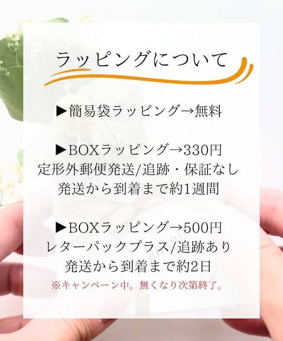 シャインピアス/イヤリング　S40 16枚目の画像