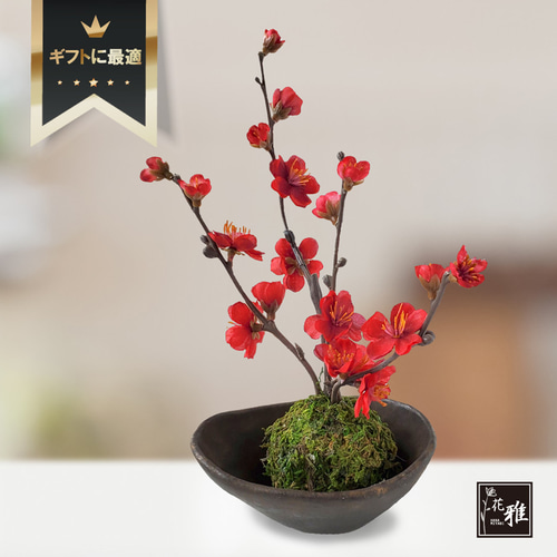 花雅シリーズ】梅 梅の花 アレンジ和風 造花【和風アレンジ】アーティ