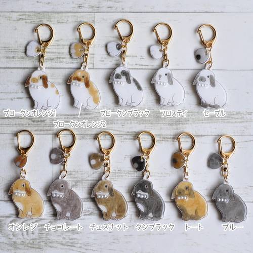 名入れOK！うさぎのキーホルダー ロップイヤー ver. その他