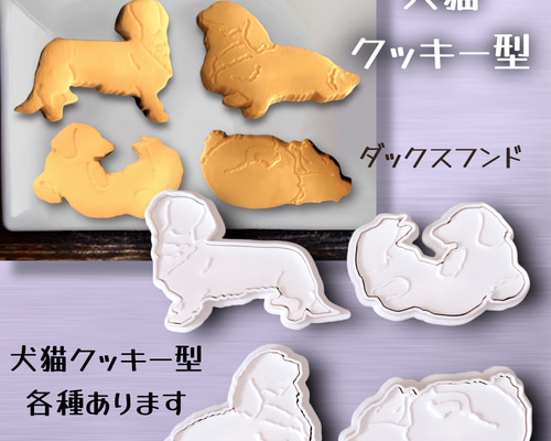 3c3cd576bcd63a53f9b943849cafe4