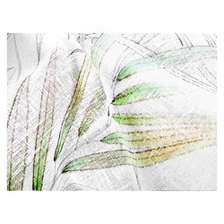 綿ハンカチ（ヤシの葉Ⅱ）（白色） 5枚目の画像