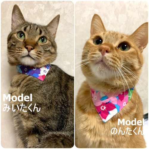 紫陽花柄(グリーン③)わんちゃん猫ちゃん用襟付き首輪 紫陽花柄