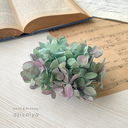 再入荷 】世界最小のバラ リトルウッズ ピンク 国産【 ドライフラワー