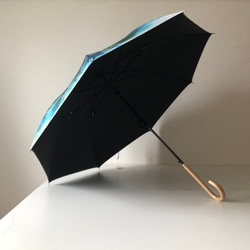 【第2次預約截止：8月底】日本製雨傘晴雨傘 Turquoise Botanical 第4張的照片