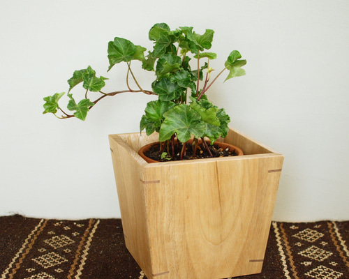 01f33805ed6309005b117c745efaaf