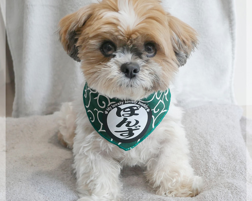 33d27718bcbdc3fa902ff0ade275f3