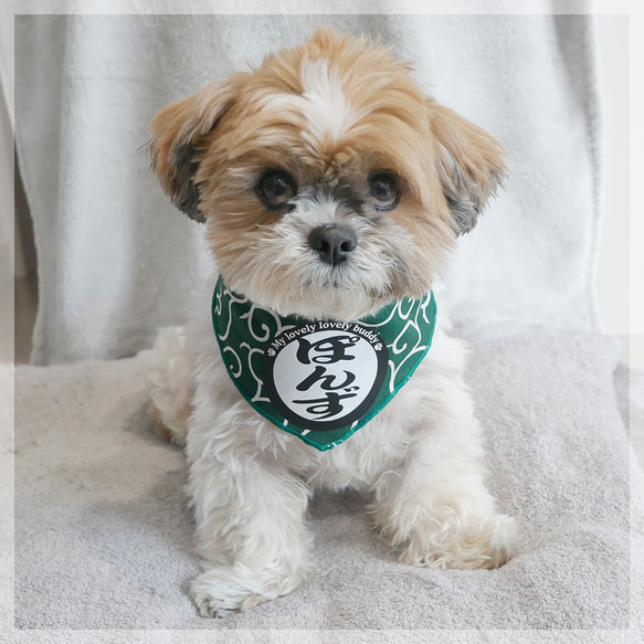 相談中❤︎ハロウィン　Ｃ柄❤︎　２４枚セット　バンダナ　小型犬　トリミング ハロウィン C柄 24枚セット ペット バンダナ 小型犬 犬