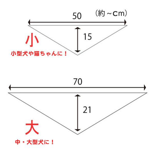  第6張的照片