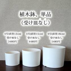 白い陶器の植木鉢 (焼きしめ) (釉薬なし) (ずんどうタイプ) 20枚目の画像