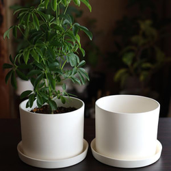 白い陶器の植木鉢 (焼きしめ) (釉薬なし) (ずんどうタイプ) 11枚目の画像