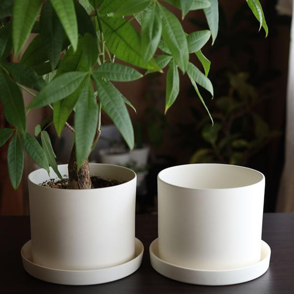 白い陶器の植木鉢 (焼きしめ) (釉薬なし) (ずんどうタイプ) 15枚目の画像