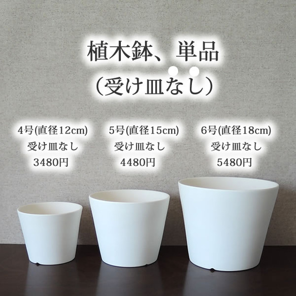 白い陶器の植木鉢 (焼きしめ) (釉薬なし) (すり鉢タイプ) 16枚目の画像