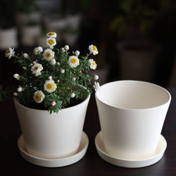 白い陶器の植木鉢 (焼きしめ) (釉薬なし) (すり鉢タイプ) 10枚目の画像