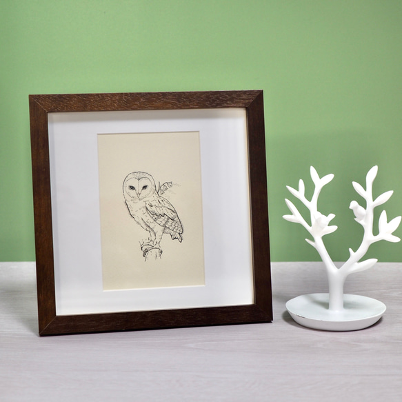 原画「花、さら、メンフクロウ」ペン画・額入り絵画・ハガキサイズ