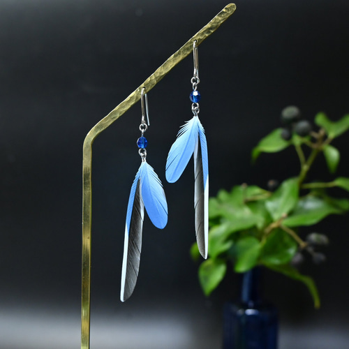 粘土の羽根飾り＿オナガ＿ピアス/イヤリング＿小 中 ピアス（フック