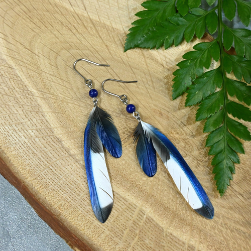 粘土の羽根飾り＿カササギ＿ピアス/イヤリング＿小 S中 ピアス（フック