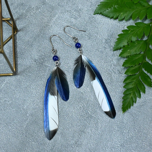 粘土の羽根飾り＿カササギ＿ピアス/イヤリング＿小 S中 ピアス（フック