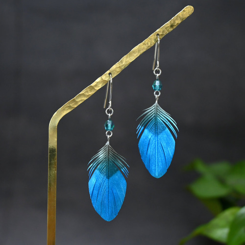 粘土の羽根飾り＿カワセミ青＿ピアス/イヤリング＿R中 ピアス（フック