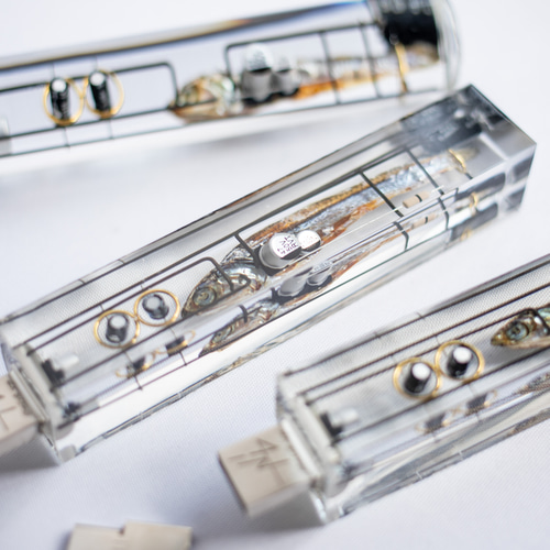 生体メモリ(64,128GB) Biological USB drive 魚に情報を記憶