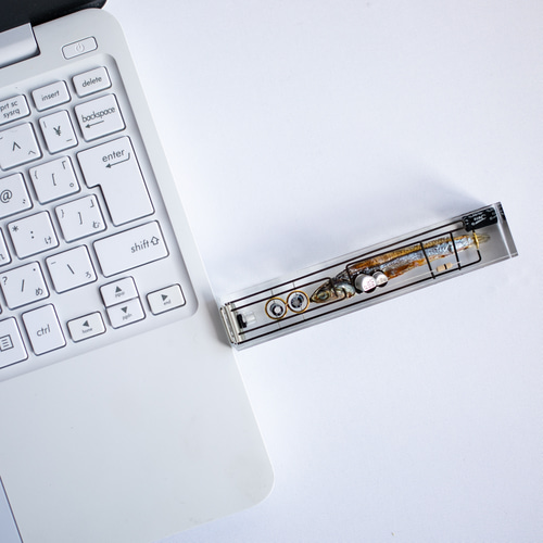 生体メモリ(64,128GB) Biological USB drive 魚に情報を記憶