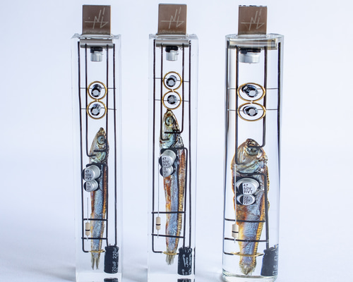 美品　Sruti（シルティ）永遠のこだま　USBメモリ版　サイババ 美品 Sruti（シルティ）永遠のこだま USBメモリ版 サイババ 美品