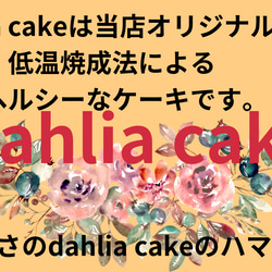 お試し　　dahlia cake 1枚目の画像