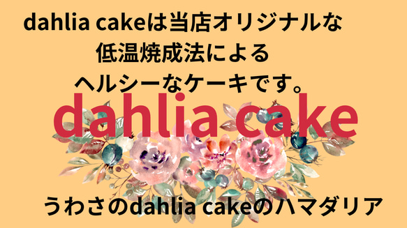 お試し　　dahlia cake 1枚目の画像