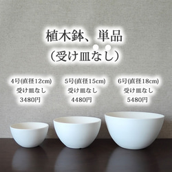 白い陶器の植木鉢 (焼きしめ) (釉薬なし) (ボールタイプ) 20枚目の画像