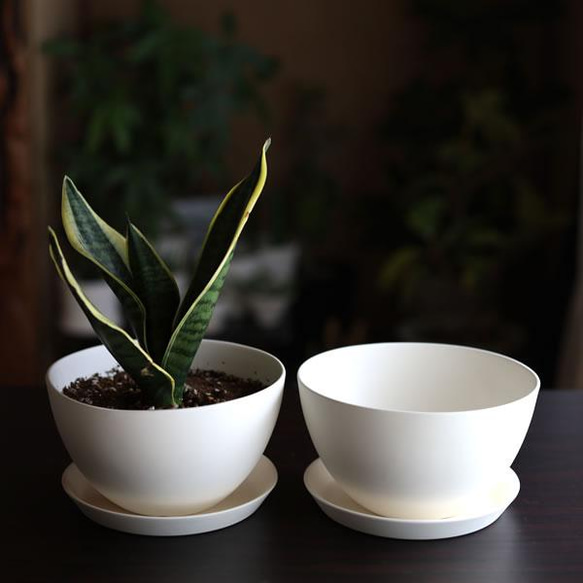 白い陶器の植木鉢 (焼きしめ) (釉薬なし) (ボールタイプ) 8枚目の画像