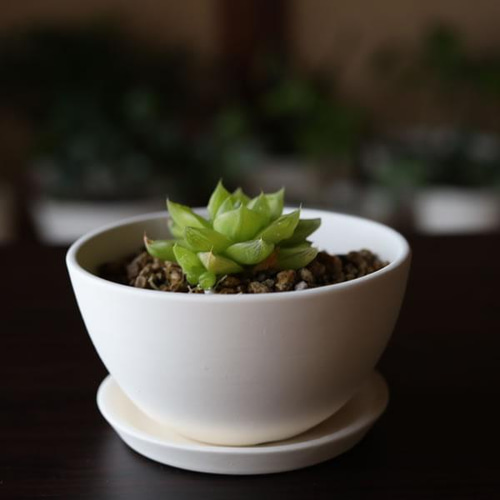 白い陶器の植木鉢 (焼きしめ) (釉薬なし) (ボールタイプ) 一輪挿し