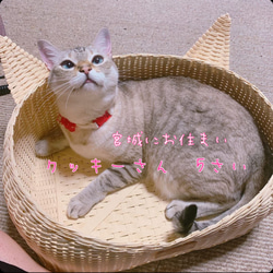 ❣️耳付き猫カゴ　★ホワイトバニラ★ 1枚目の画像